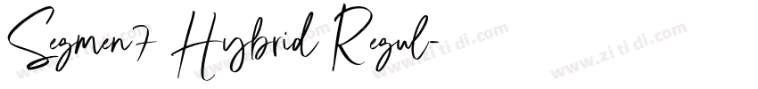 Segmen7 Hybrid Regul字体转换